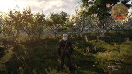 witcher3 2015-05-20 00-25-42-78.jpg