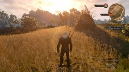 witcher3 2015-05-20 00-29-28-60.jpg