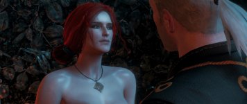 witcher3 2015-07-20 22-09-10-32.jpg