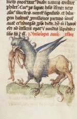 medieval_illuminated_manuscripts_2.jpg