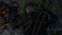 The Witcher 3 Screenshot 2024.02.17 - 12.57.17.89.png