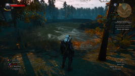 The Witcher 3 Screenshot 2024.03.21 - 08.43.49.28.png