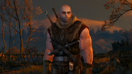The Witcher 3 Screenshot 2024.03.18 - 02.44.07.90.png