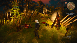 The Witcher 3 Screenshot 2024.03.17 - 04.16.18.64.png
