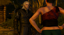 The Witcher 3 Screenshot 2024.03.21 - 11.14.21.73.png