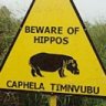 evilhippo