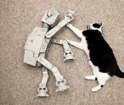 Star-Wars-Cat.jpg