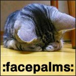 14414_facepalm_cat.jpg