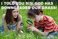 kids-using-magnifying-glass-10277863 copy.jpg