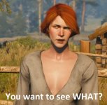 Witcher_3_Meme_What.jpg