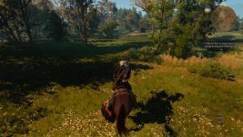 the_witcher_3_pc_screens_0003-pc-games.jpg