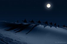 camels_in_the_desert_night_by_waxflower-other.jpg
