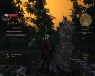 witcher3 2015-05-20 13-01-46-00.jpg