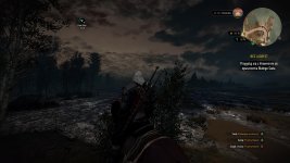 witcher3 2015-05-19 19-31-18.jpg