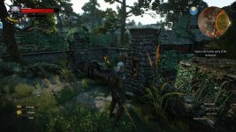 witcher3 2015-05-21 12-26-17-58.jpg