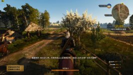 witcher3 2015-05-19 21-41-40-09.jpg