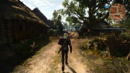 White Orchard path.jpg