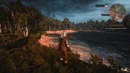 witcher3 2015-05-22 17-49-42.jpg