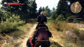 witcher3 2015-05-22 13-34-11-07.jpg