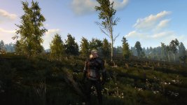 witcher3 2015-05-21 01-08-40.jpg