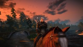 witcher3 2015-05-21 13-49-29.jpg