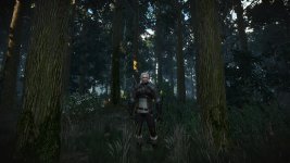 witcher3 2015-05-21 14-39-48.jpg