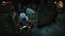 BB QL Horse glitch.jpg