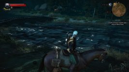 water not on minimap  (blackbought).jpg