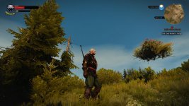 flying bush between isolatet shack and abandond tower.jpg