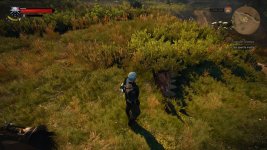 Shrieker to strong later no agro.jpg