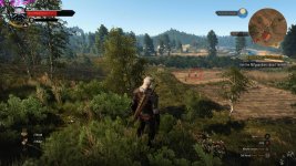 Witcher problems-2.jpg