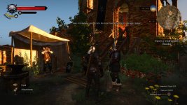 witcher3 2015-05-26 15-08-04-27.jpg