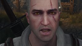 witcher3 2015-05-26 14-58-45-44.jpg