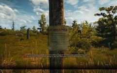 witcher3 2015-05-25 21-33-44-74.jpg