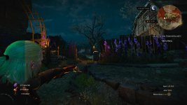 witcher3 2015-05-28 23-09-22-59.jpg