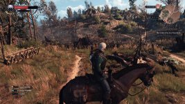 witcher3-2015-05-29-20-22-21.jpg
