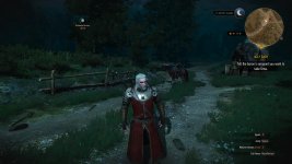 witcher3 2015-05-29 03-20-25-72.jpg