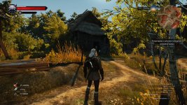 witcher3 2015-05-31 17-55-28-54.jpg