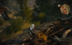 witcher3 2015-05-31 17-46-48-21.jpg