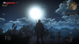 witcher3 2015-06-02 20-59-03.jpg