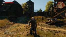 witcher3 2015-06-03 22-06-13-82.jpg