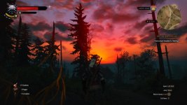 witcher3 2015-06-04 22-00-29-21.jpg