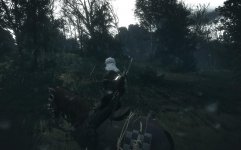 witcher3_2015_06_05_21_36_42_805.jpg