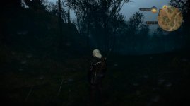 witcher3_2015_06_05_20_03_50_140.jpg