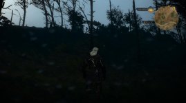 witcher3_2015_06_05_20_04_03_714.jpg