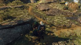 witcher3 2015-06-05 21-02-56-39.jpg