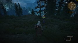 witcher3 2015-05-31 13-42-07-91.jpg