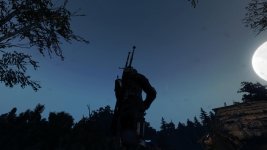 witcher3 2015-06-06 09-52-00.jpg