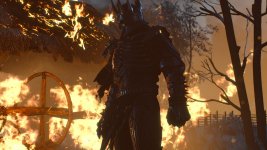 witcher3 2015-06-01 04-57-21-49.jpg