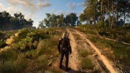 witcher3 2015-06-07 19-35-58-45.jpg